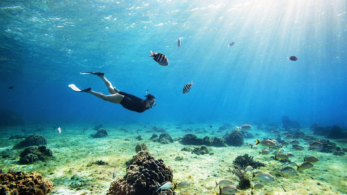 Snorkeling Cozumel Mexico